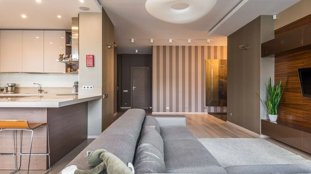 Modern living room interior in Alexandria home