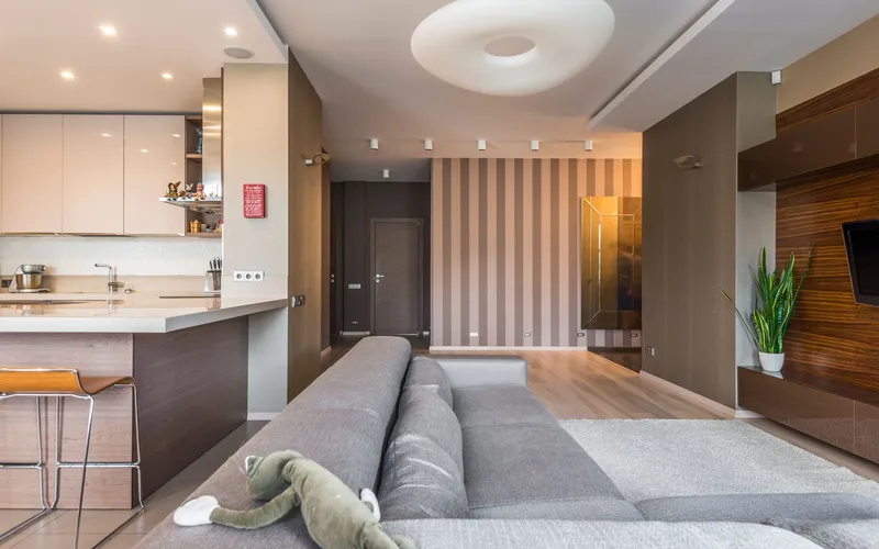 Modern living room interior in Alexandria home